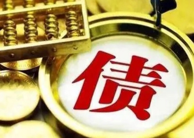 黑龙江追讨的方案和几种必要条件